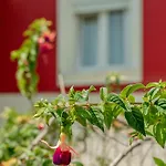 Village Casa 4 By Lisbon-coast Vacation