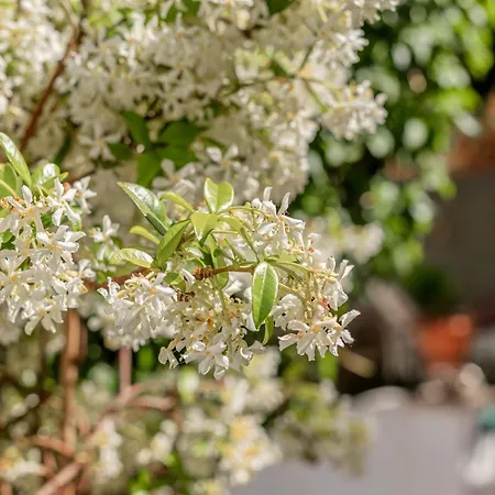 別荘 Village Casa 4 By Lisbon-coast Vacation