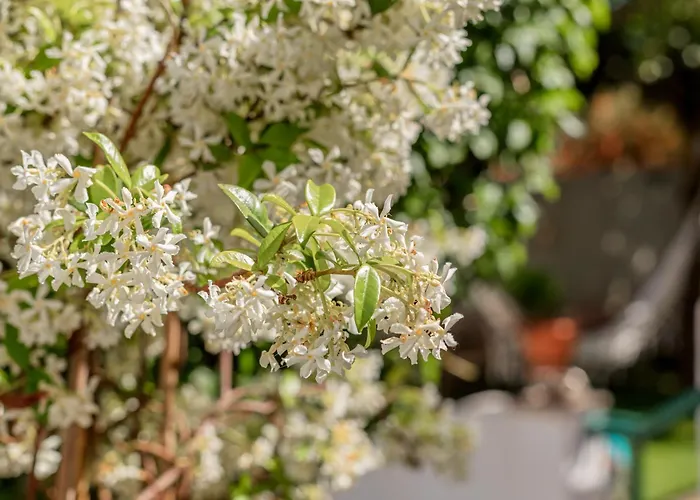 別荘 Village Casa 4 By Lisbon-coast Vacation